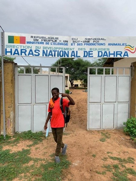 Action de l’AEADE au Sénégal — photo 10